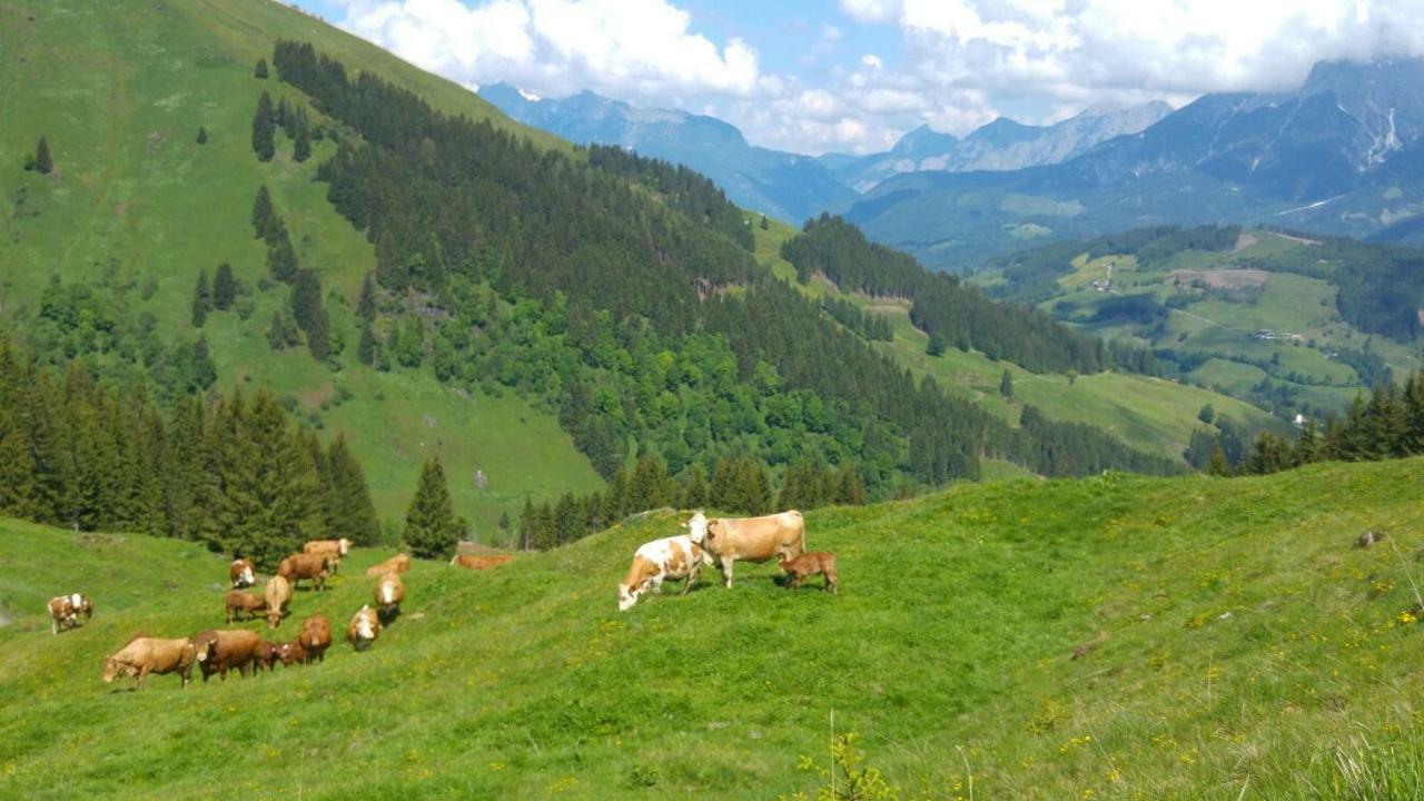 Biobauernhof Jagglhof Appartement Saalfelden Buitenkant foto